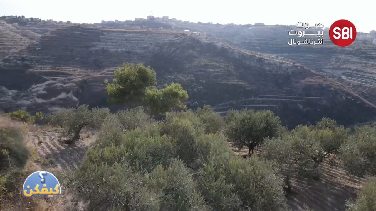في برنامج كيفكن... شو المهنة الجديدة اللي تعلمها ميشال كيف زمط من القتلة وليش كان عم يركض بالحقلة