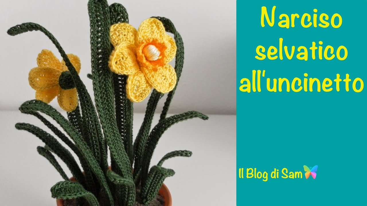 Spiegazione del Narciso Selvatico all'uncinetto