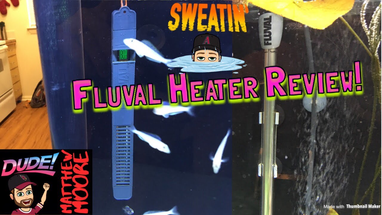 Fluval E series and M series review.