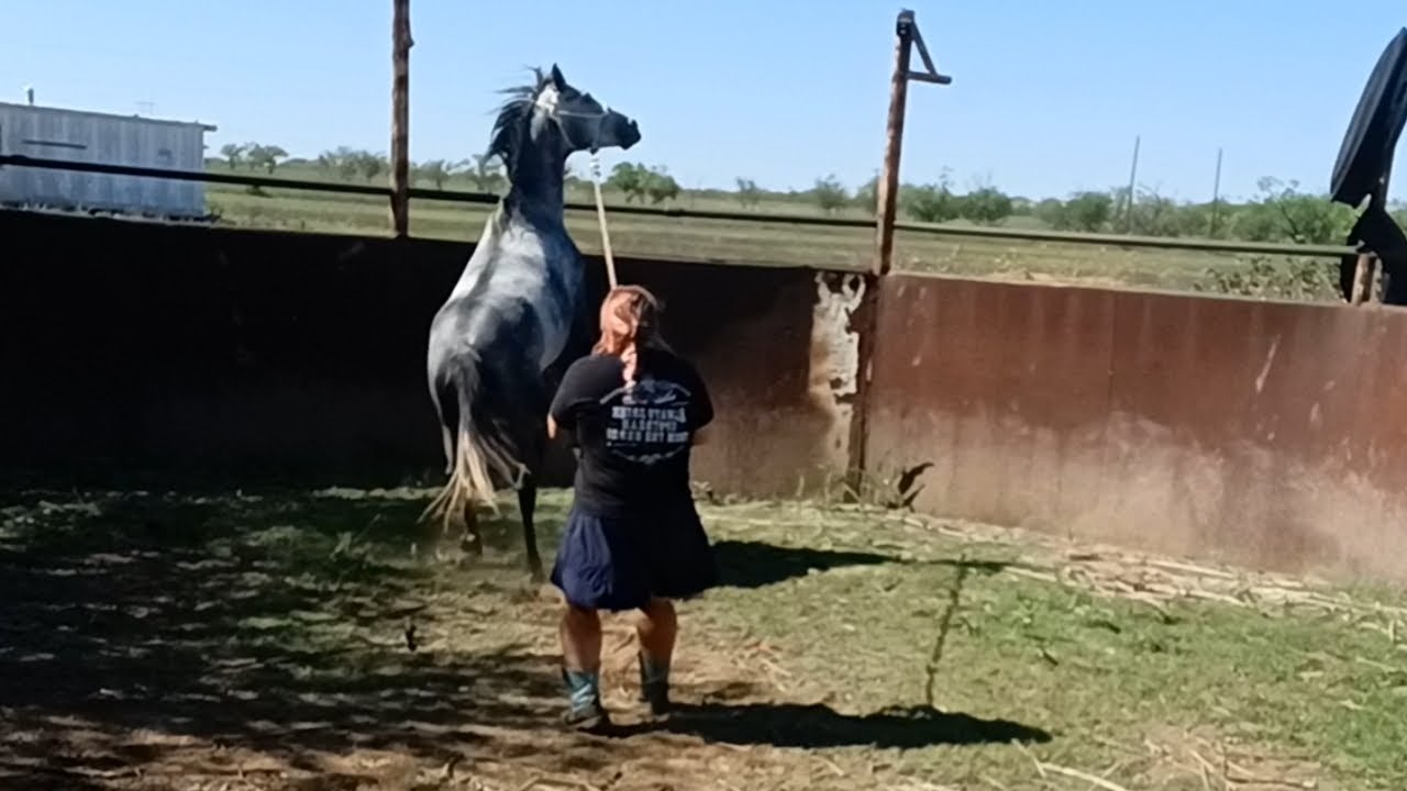 Day 1 Training April