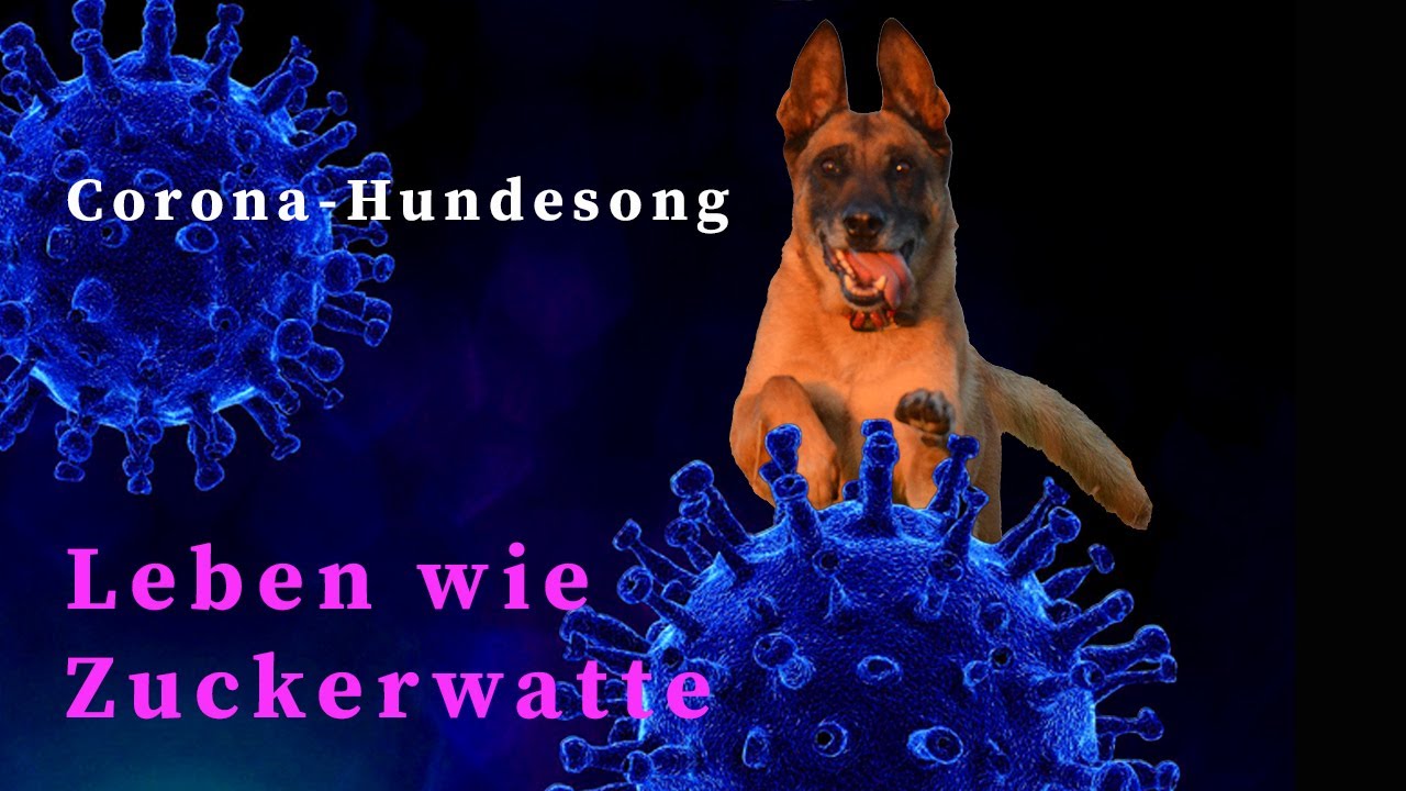 Corona Hundesong