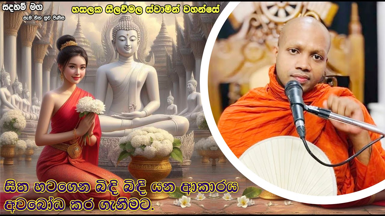 සිත හටගෙන බිඳි බිඳී යන ආකාරය අවබෝධ කර ගැනීමට.2081Ven Hasalaka Seelawimala Thero
