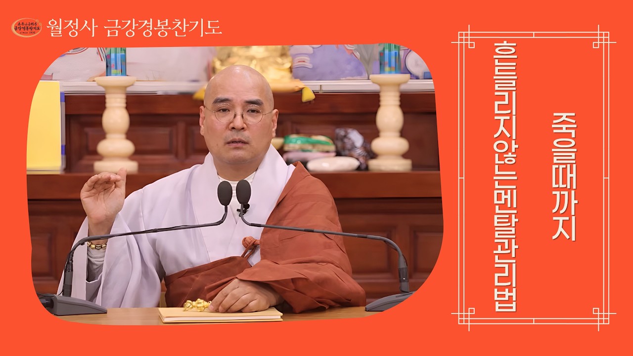 [금강경] 명상이 어렵다고요? '종합 비타민' 같은 금강경 기도로 인생 운명 바꾸는 법