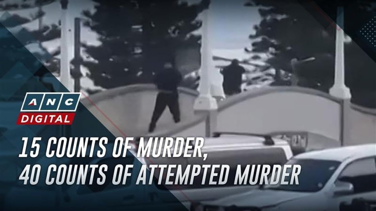 Younger suspect in Bondi Beach shooting charged with 15 counts of murder | ANC