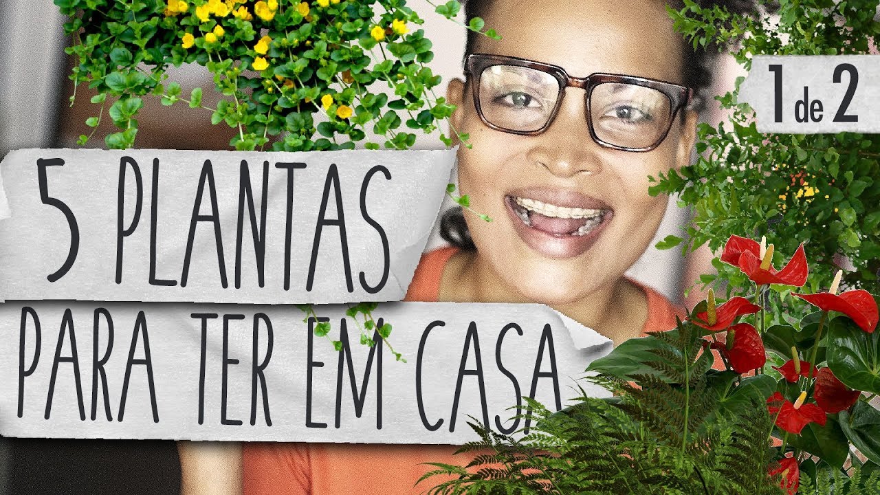 PLANTAS PARA TER DENTRO DO APARTAMENTO - PARTE 1 | DE MUDANÇA
