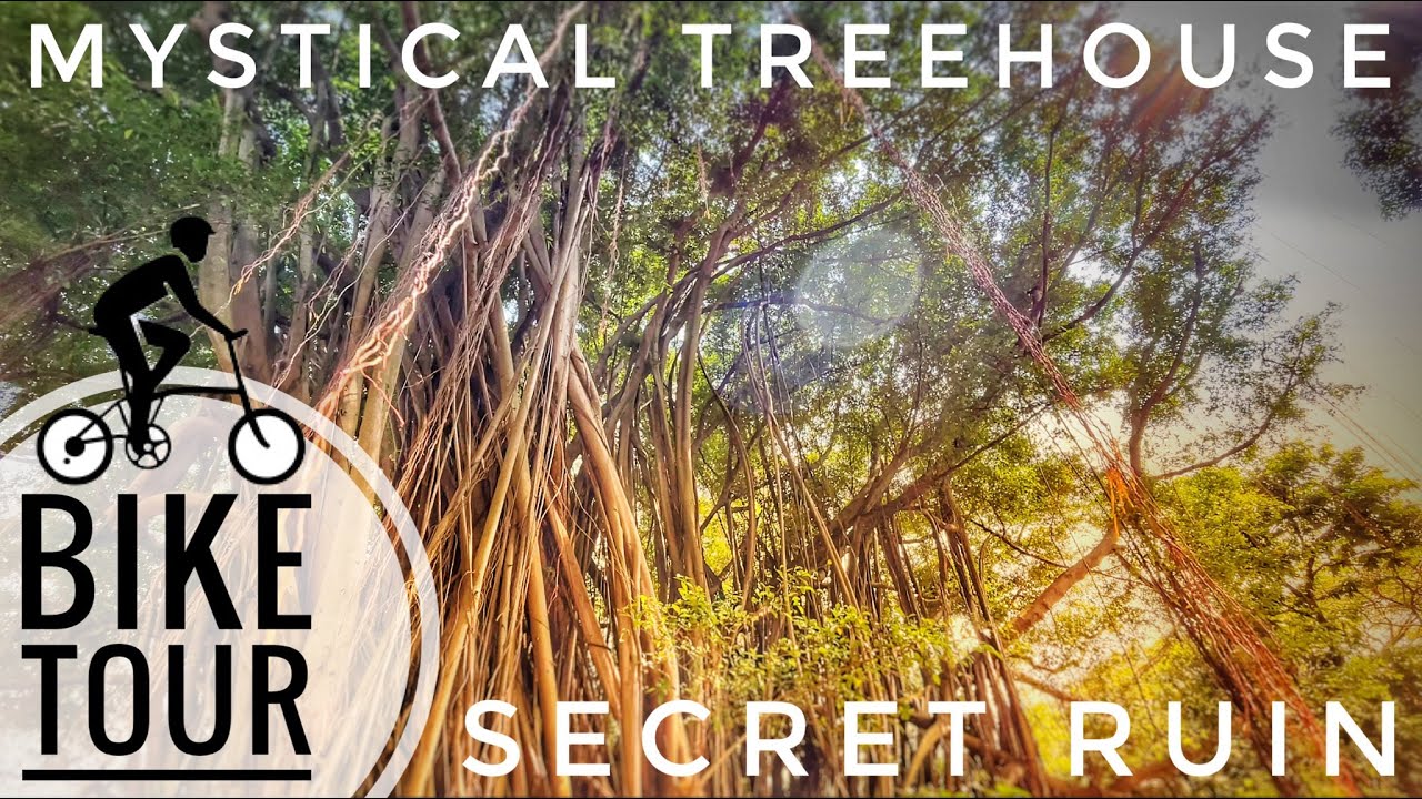Mystical Treehouse | Secret Ruin Kallang | Cycling Route | Brompton Brompnot | 4K Urbex Singapore
