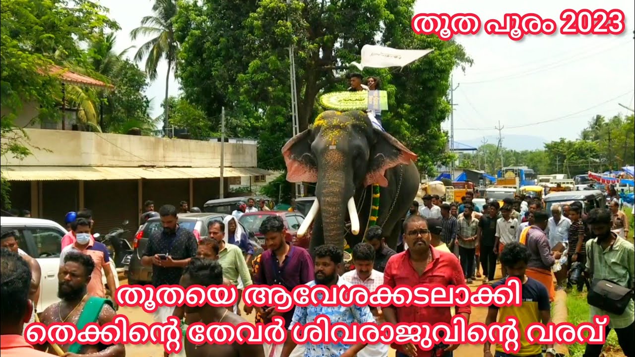 തൂതയെ ആവേശക്കടലാക്കി തെക്കിന്റെ തേവർ ശിവരാജുവിന്റെ വരവ് || തൂത പൂരം 2023 || തൃക്കടവൂർ ശിവരാജു