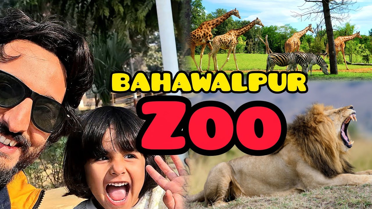 Bahawalpur Zoo | Enjoy With Bacha Party | | Animal Zoo #mrshent 