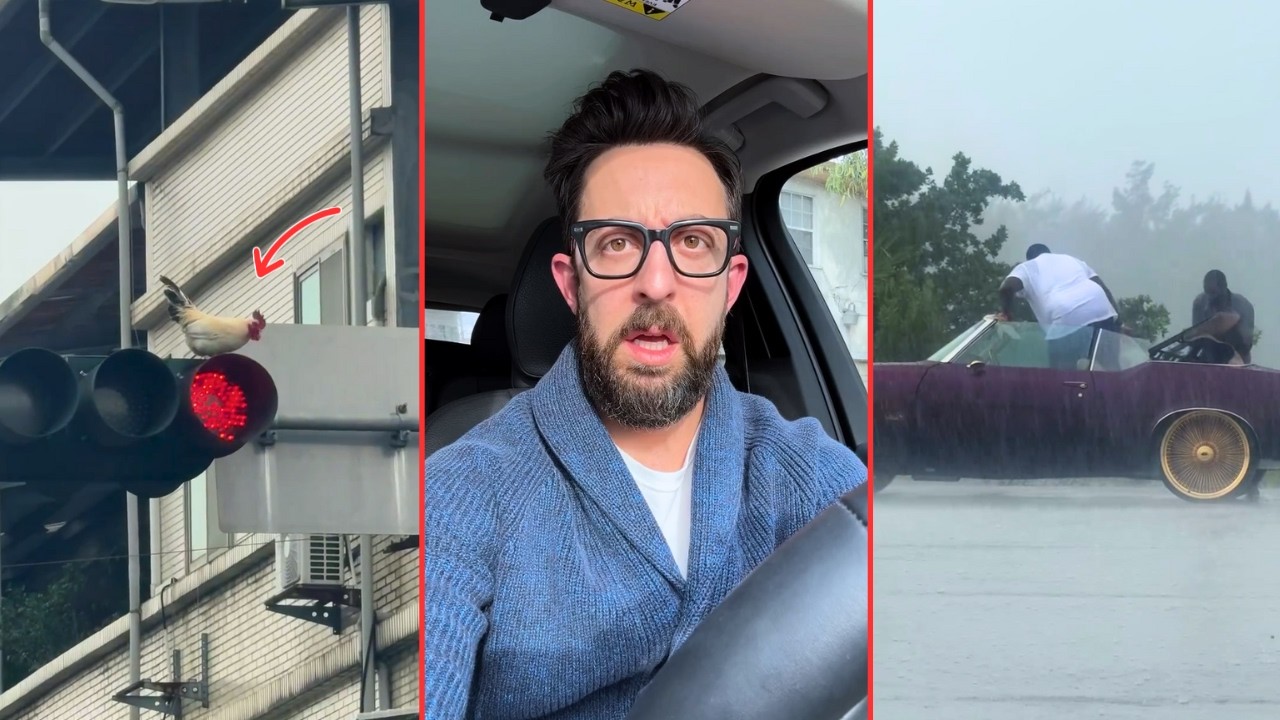 This Traffic Scene Escalated Faster Than Anyone Expected 🚦🔥