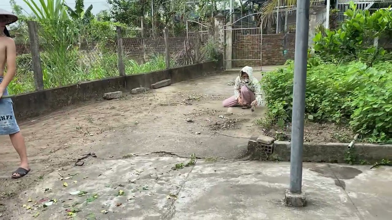 29 Tết 2026