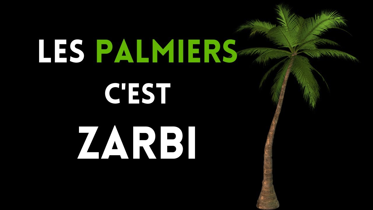 L'infini bizarrerie des palmiers