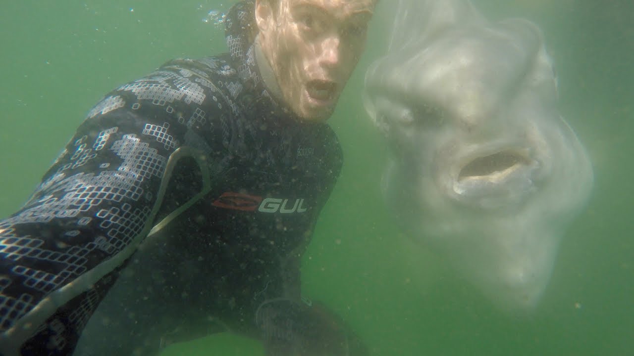 Crazy selfie with a MONSTER from the deep!