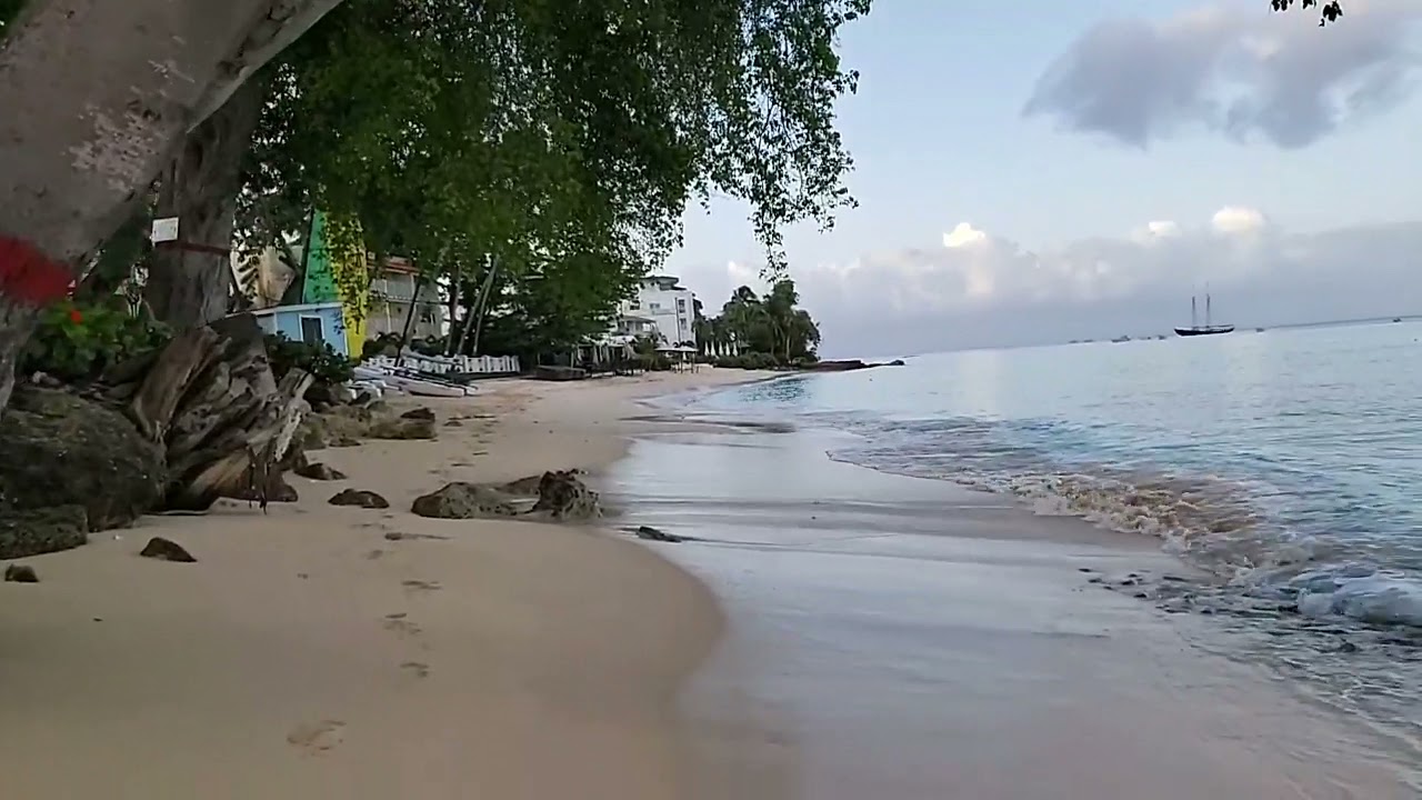 May 11, 2021 - Paynes Bay Live