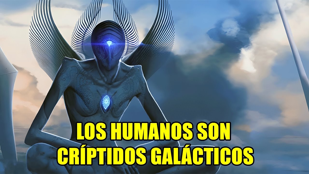 Los Humanos son Críptidos Galácticos r/HFY