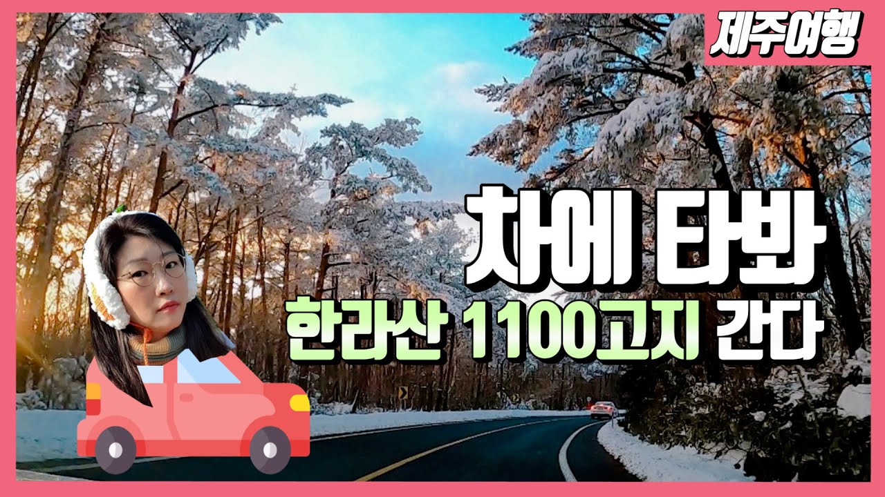 [제주가이드] 이게 바로 제주도 랜선 드라이브! 친절한 지도 설명까지! 한라산 1100고지를 향해 달려갑니다. [제주여행/제주도여행]