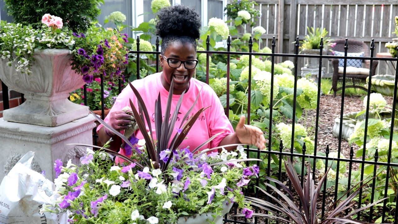 SUPERTUNIA // SUPERTUNIA VISTA // SURFINIA // PETUNIAS DISTRESS TO GORGEOUS FLOWER POT
