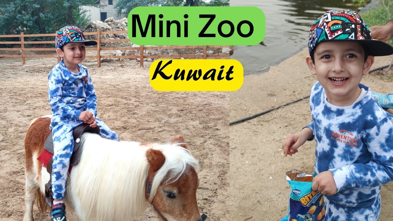 Mini Zoo in Kuwait | Zikran pony riding  | Weekend fun | Friday vlog. @SarwatKitchenVlogs