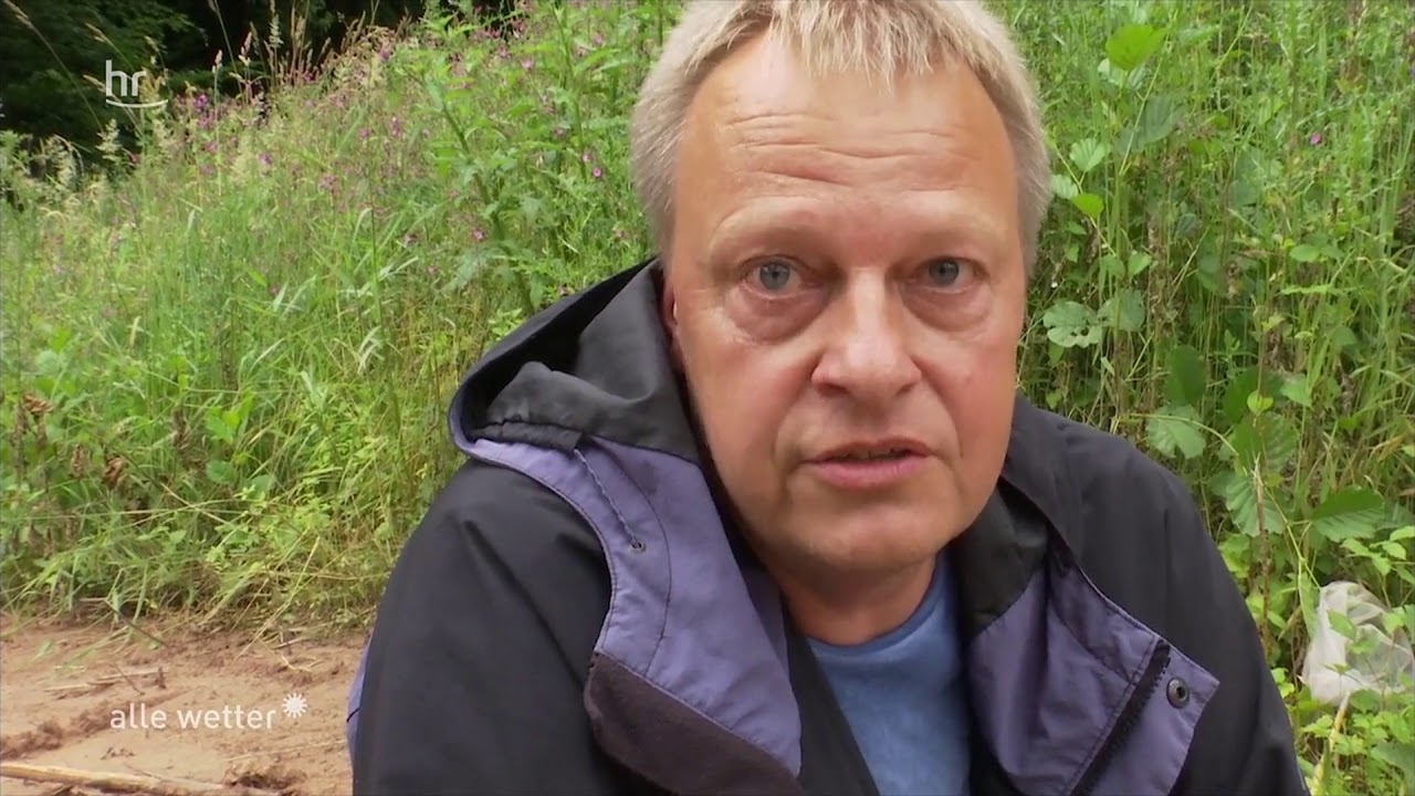 Projekt vom 06.07.2018 Anlage von Gelbbauchunken Laichgewässern