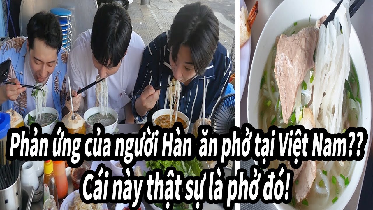 Phản ứng của người Hàn quốc khi lần đầu tiên ăn phở tại Việt Nam!!