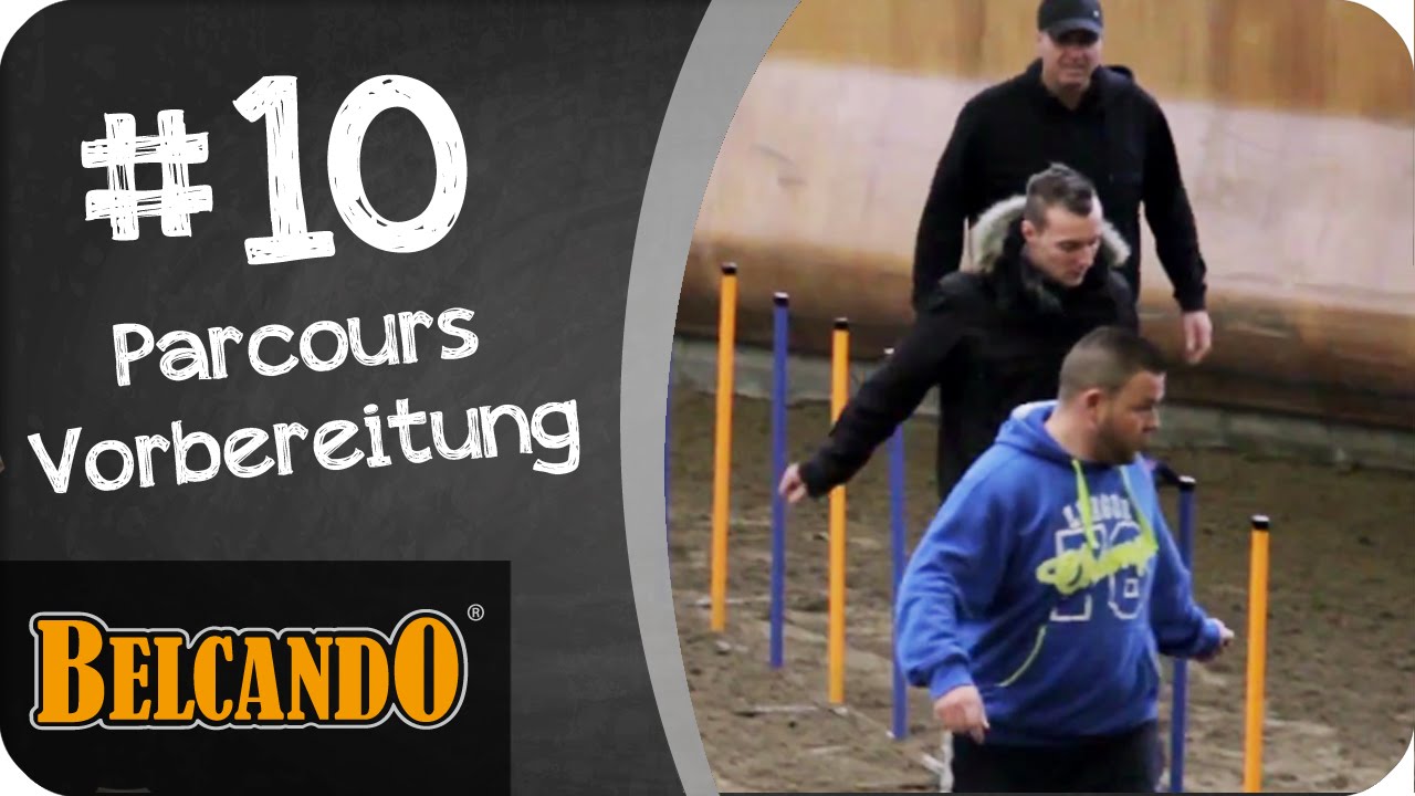 BELCANDO | Agility - Vom Junghund zum Sporthund #10 Parcours Vorbereitung
