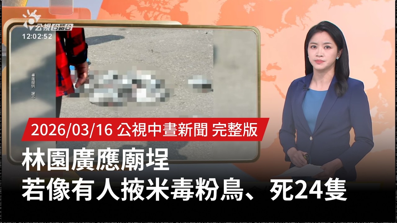 20260316 | 公視中晝新聞 | 林園廣應廟埕 若像有人掖米毒粉鳥、死24隻