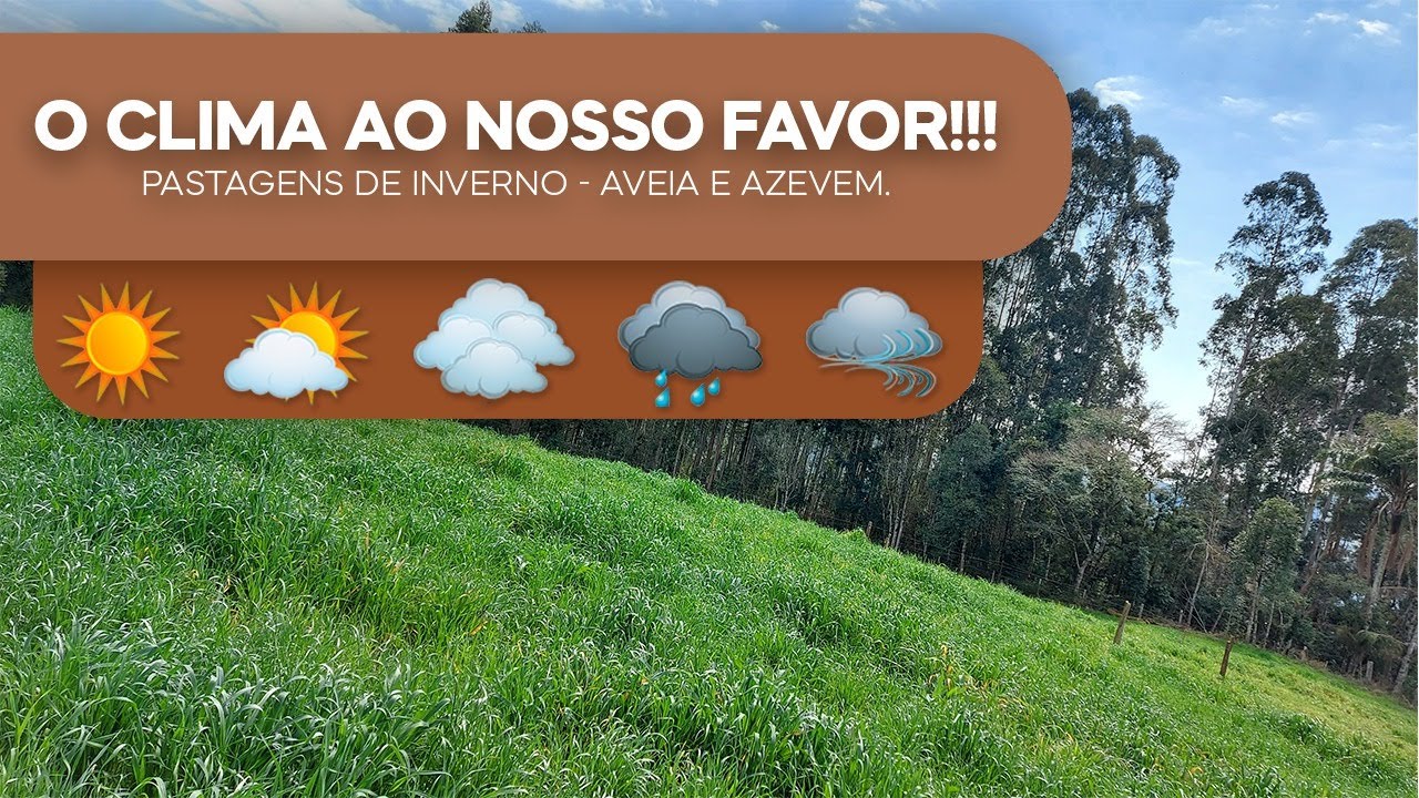 O clima ao nosso favor!!! Pastagens de Inverno - Aveia e Azevem (v71)