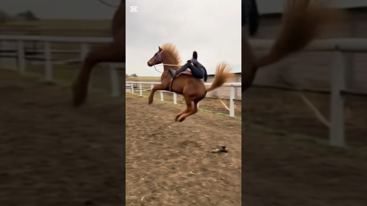 CAN YOU HANDLE A WILD HORSE?! #testyourlimits #wildride #shorts