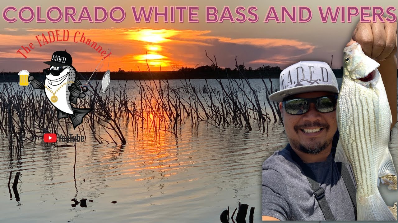 Colorado White Bass and Wiper Fishing - Nee Noshe Reservoir