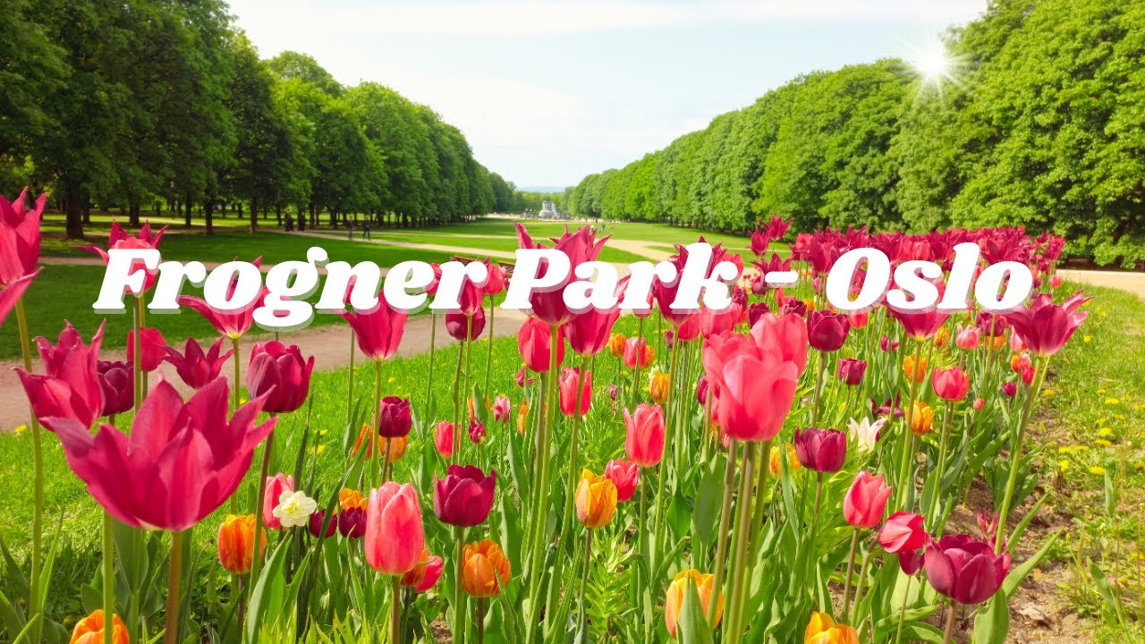 A Day in Frogner Park (with English Subtitles) 🇳🇴