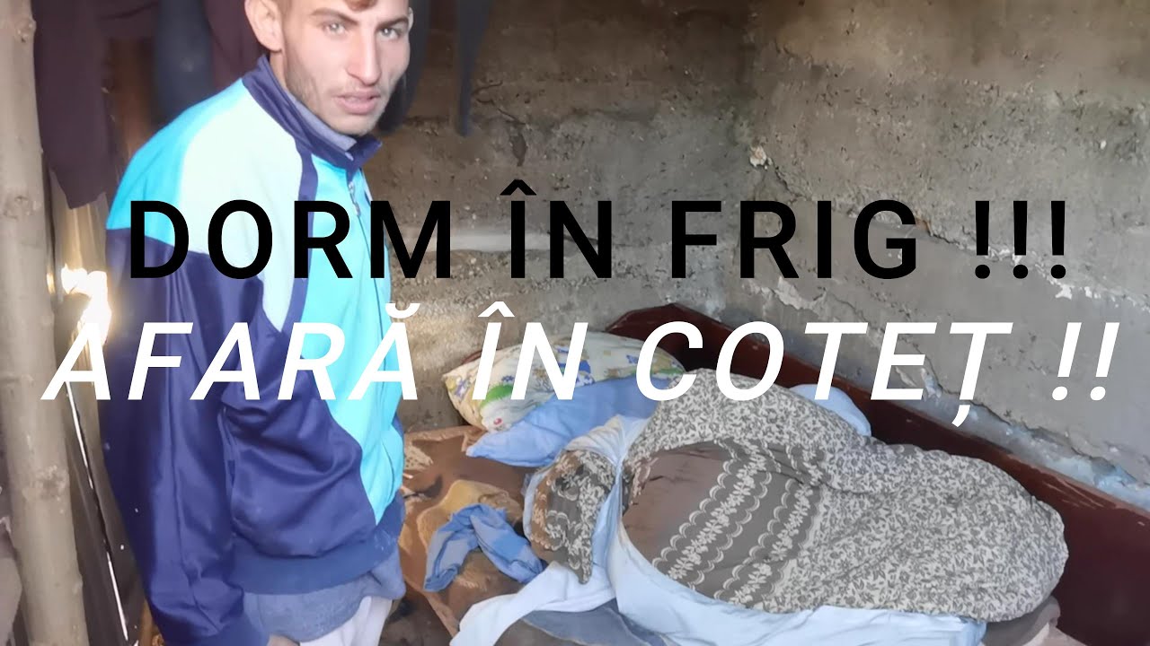 D’ale lu’ Fanica-Dorm afară in coteț !!!