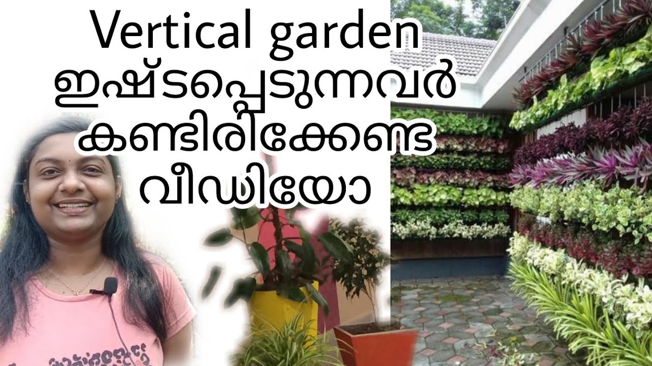 Low cost vertical garden plants that are easy to grow| Vertical garden ideas |Jordanz World