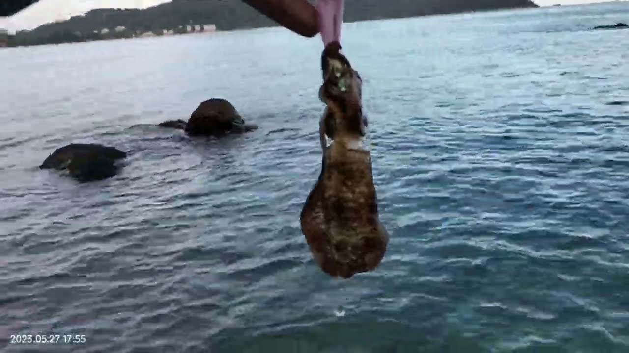 Pangkor Eging Off Season 27/5/23