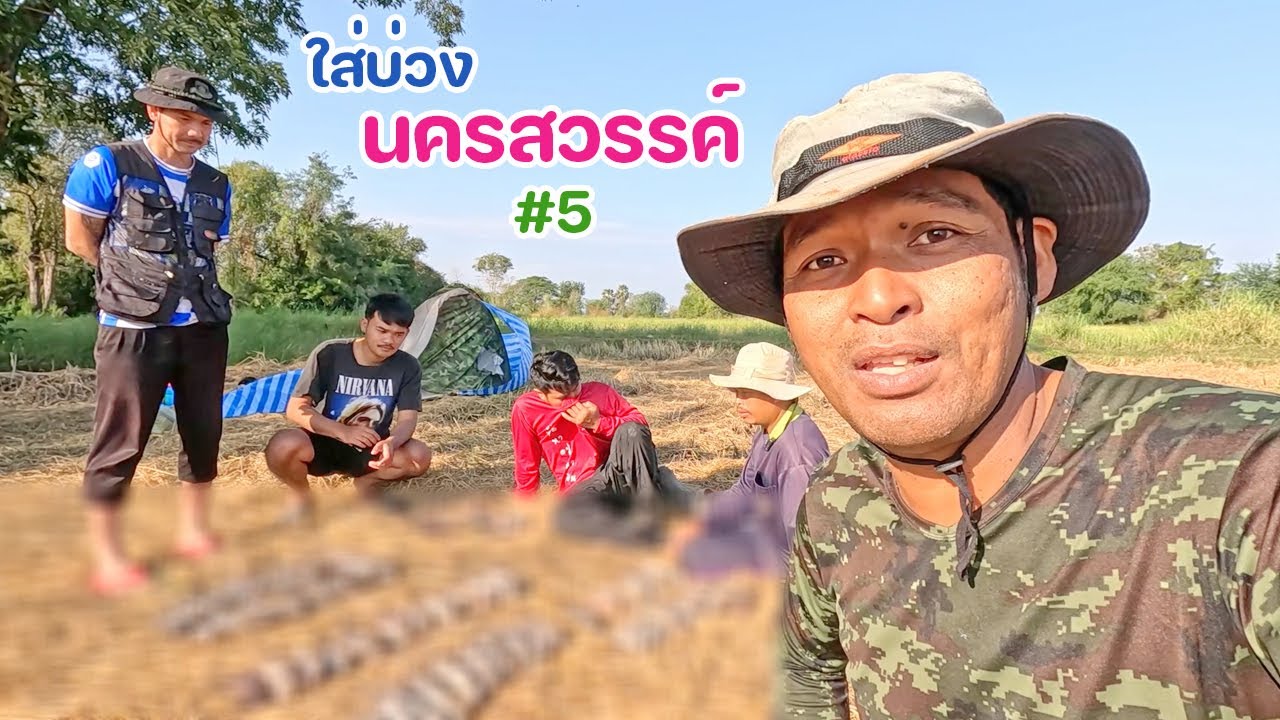 ใส่บ่วงหนู นครสวรรค์ หนูแผงใหญ่ ติดตามตูด บ่วงหาย บ่วงหัก ระเนระนาด