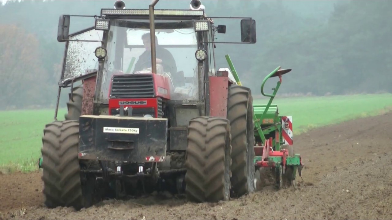 Siew pszenicy 2019 ursus 1224 agro masz amazone d8 TT technology