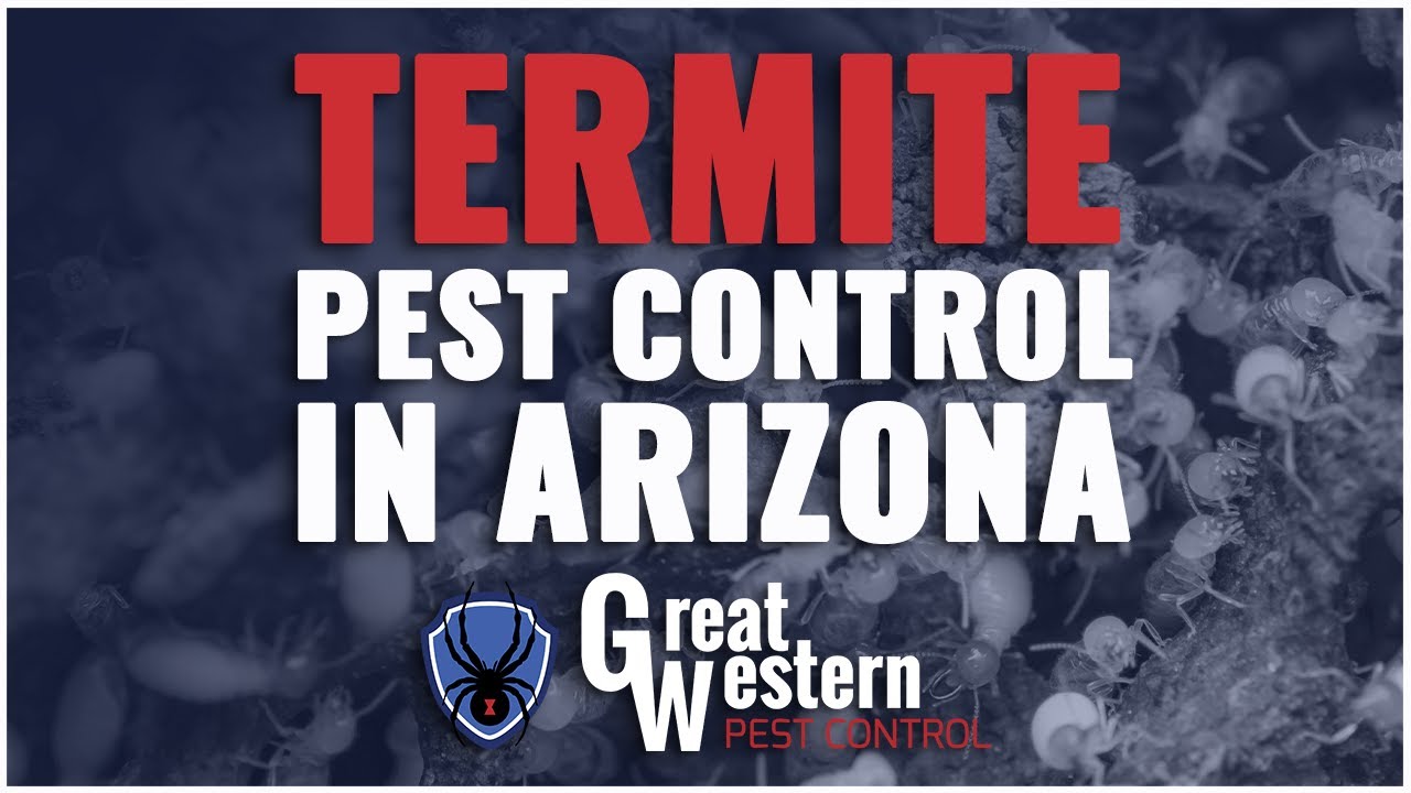 Termite Signs: What are Termite Mud Tubes? | Termite Control in Gilbert, Mesa, and Nearby Areas