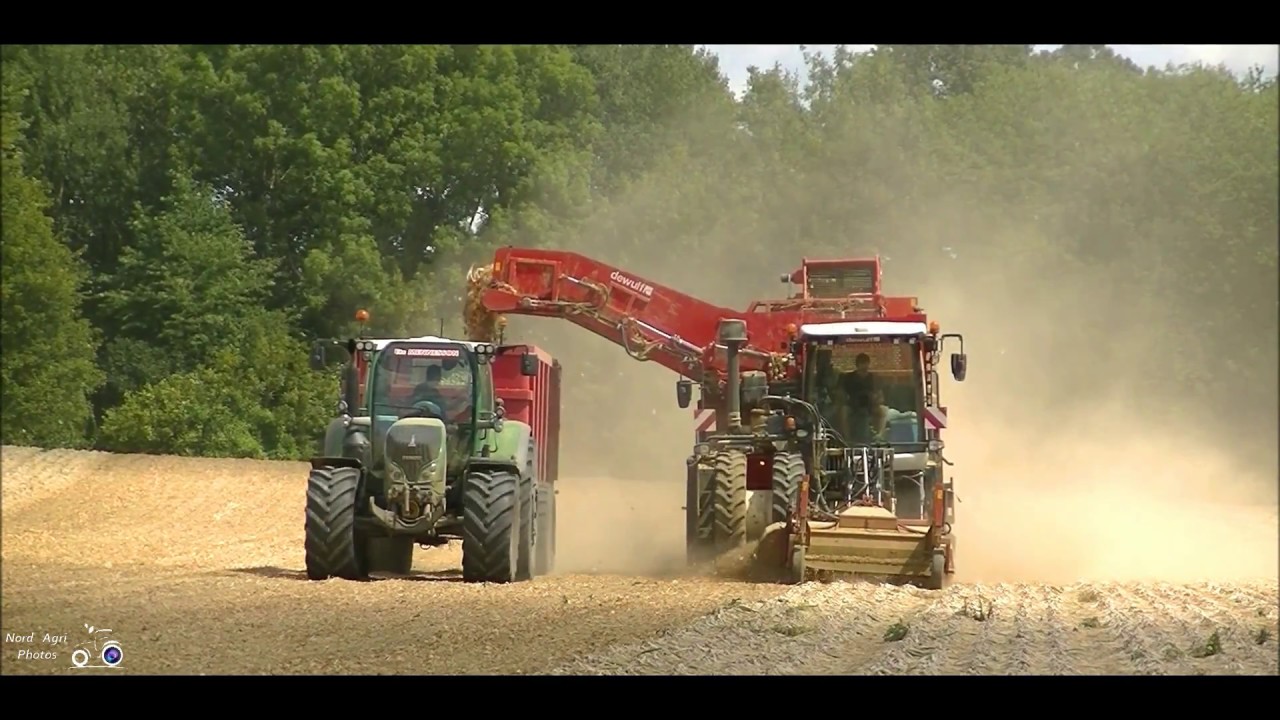 Arrachage oignons ETA Mennesson Ardennes 08. Dewulf R3060 en 5 rangs. Fendt