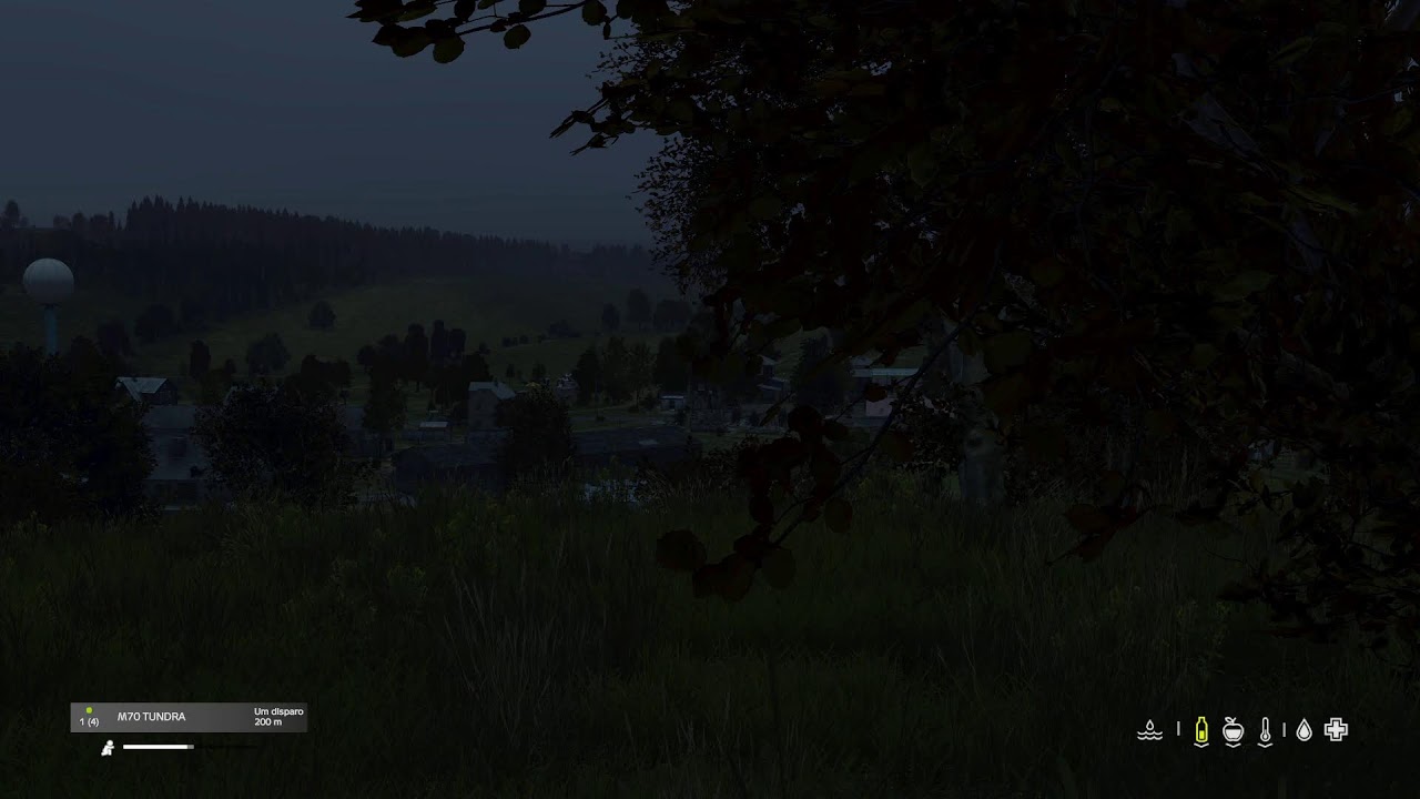 BORA DE DAYZ NAMALSK OU NÃO ?