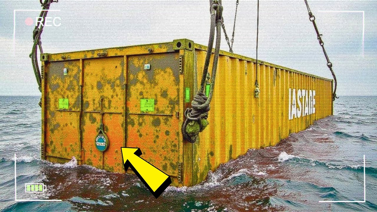 Водолазы обнаружили в море контейнер — то, что находилось внутри, повергло их в шок.