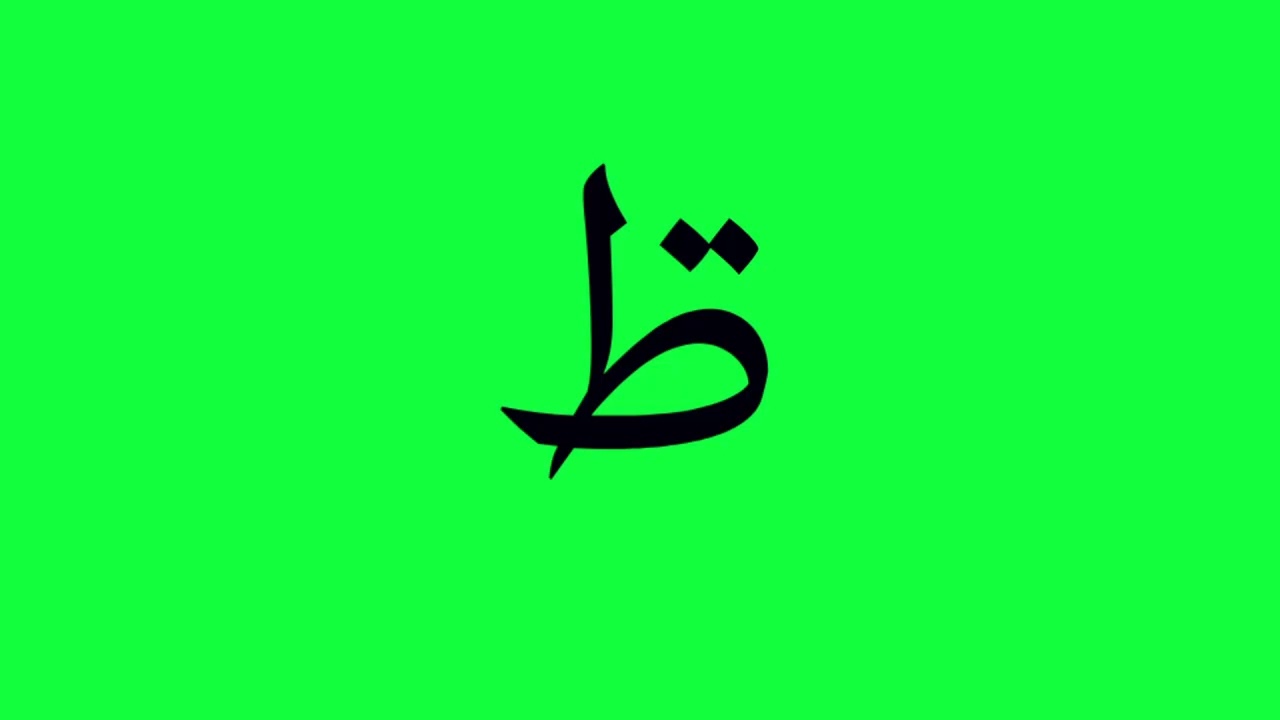 7 February 2026
