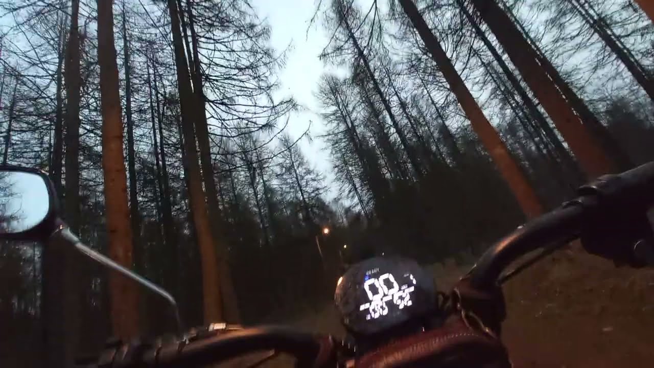 Forest Ride — V8 eFatbike