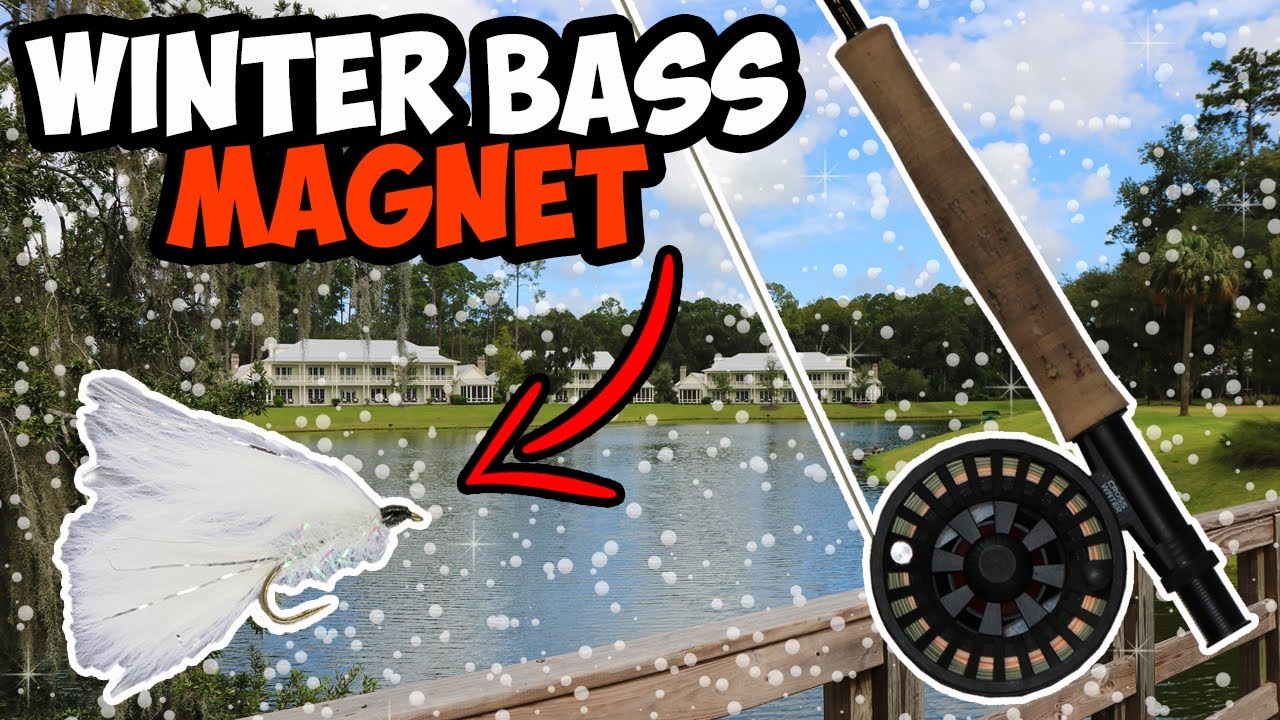 EPIC Winter Fly Fishing for BASS!!! | Fly Fishing For Bass