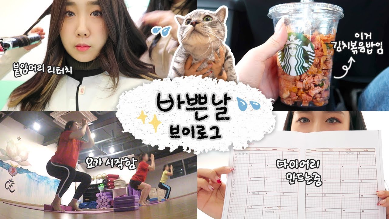 [샒의삶] 일상: (곧)40만 유투버의 