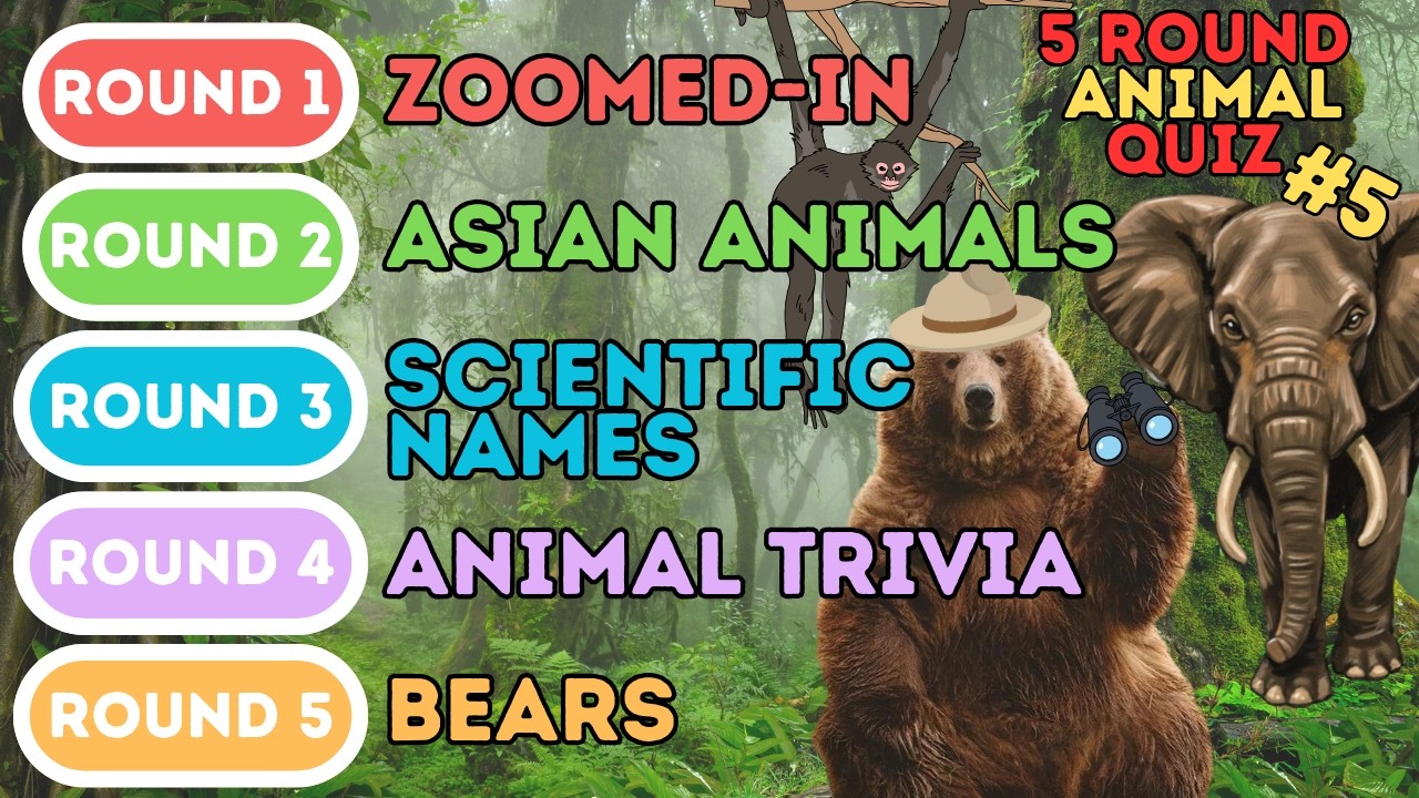 The 5 Round Animal Quiz | Zoomed-In, Asian Animals, Scientific Names, Trivia & Bears (5)