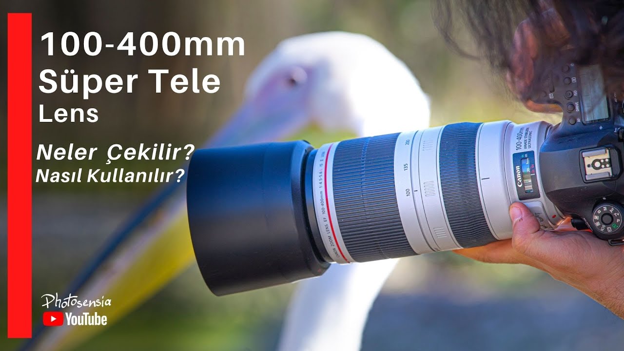 100-400mm Süper Tele Lens - Süper Tele Lensle Ne Tür Fotoğraflar Çekerim?