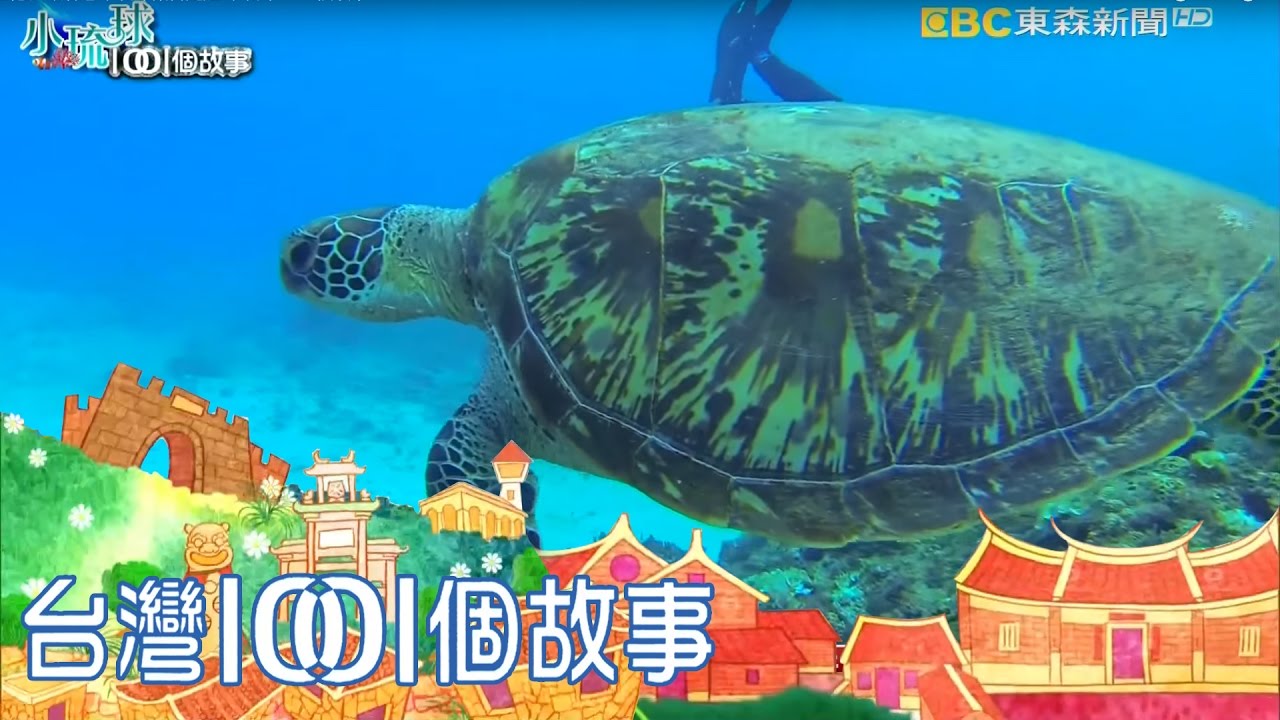 地球活化石綠蠵龜 小琉球繁衍定居-小琉球1001個故事 PART1