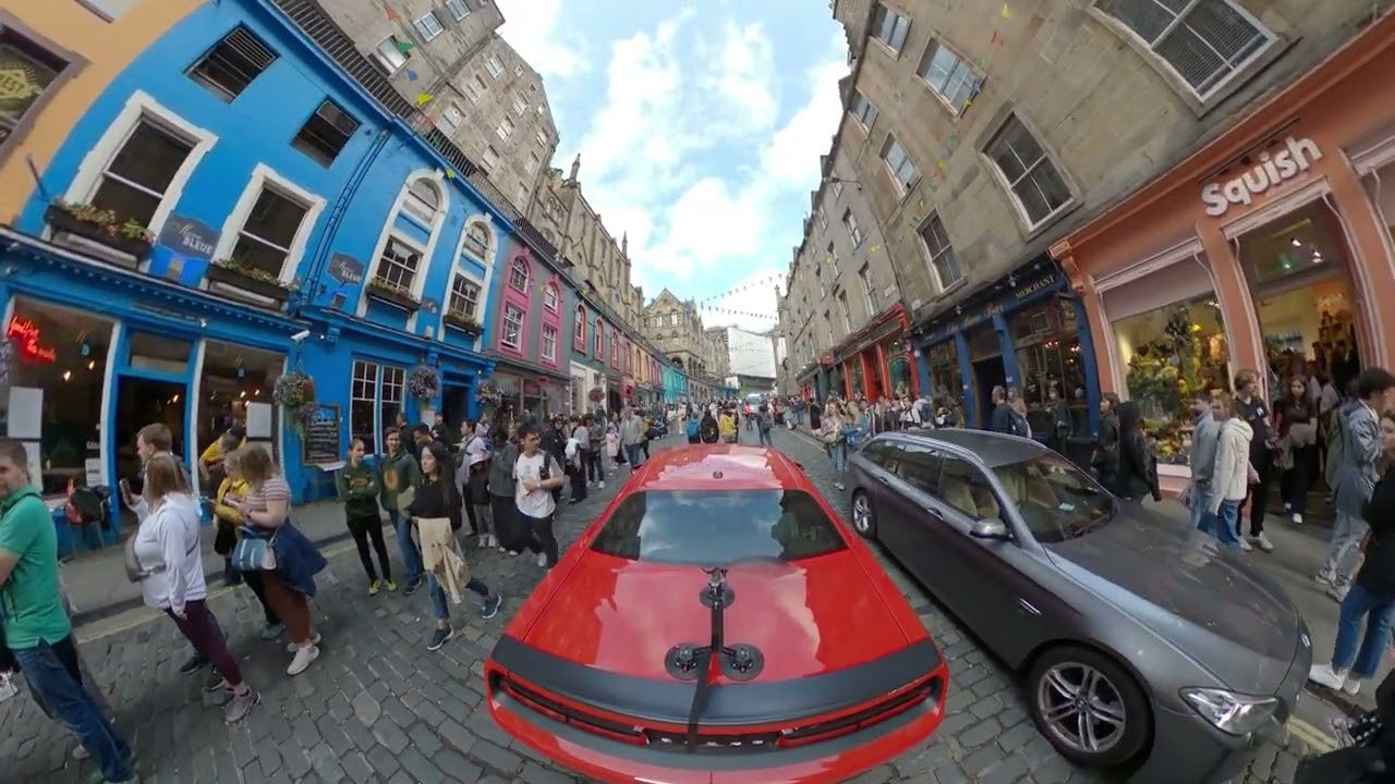 Hellcat on Harry Potter Street, reactions