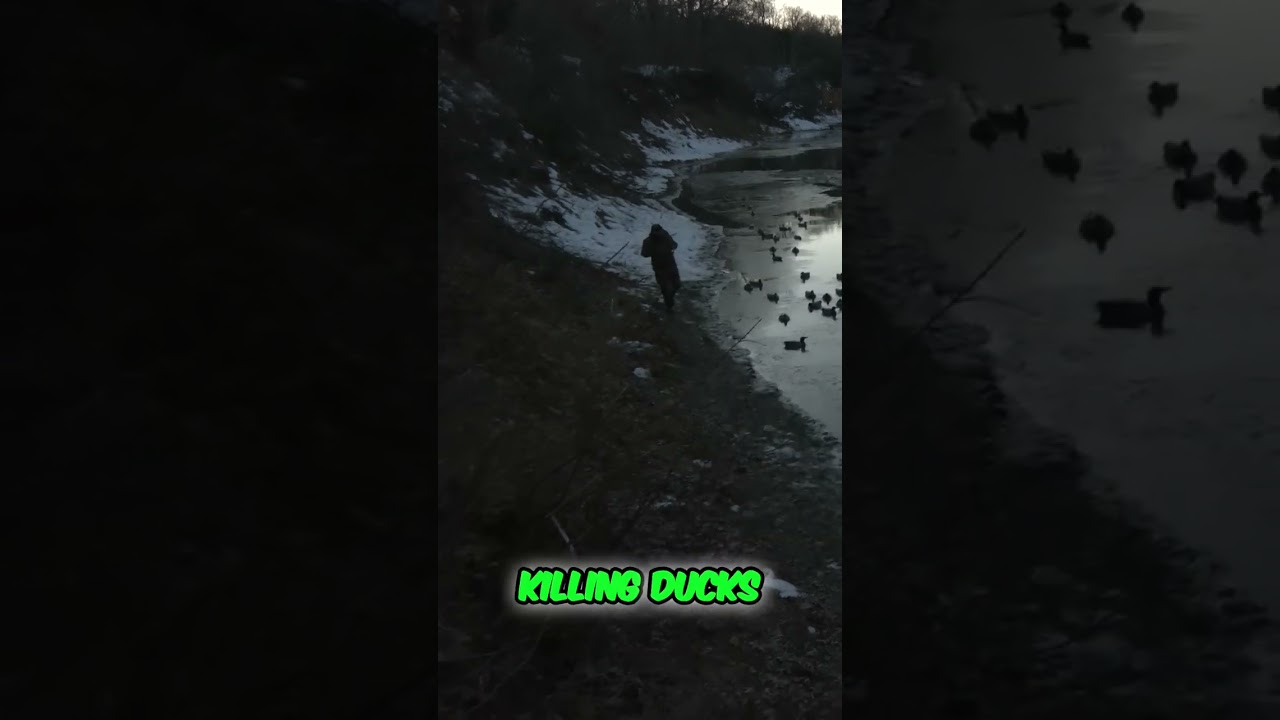 Duck Hunting Adventure: Witness the Thrill! 