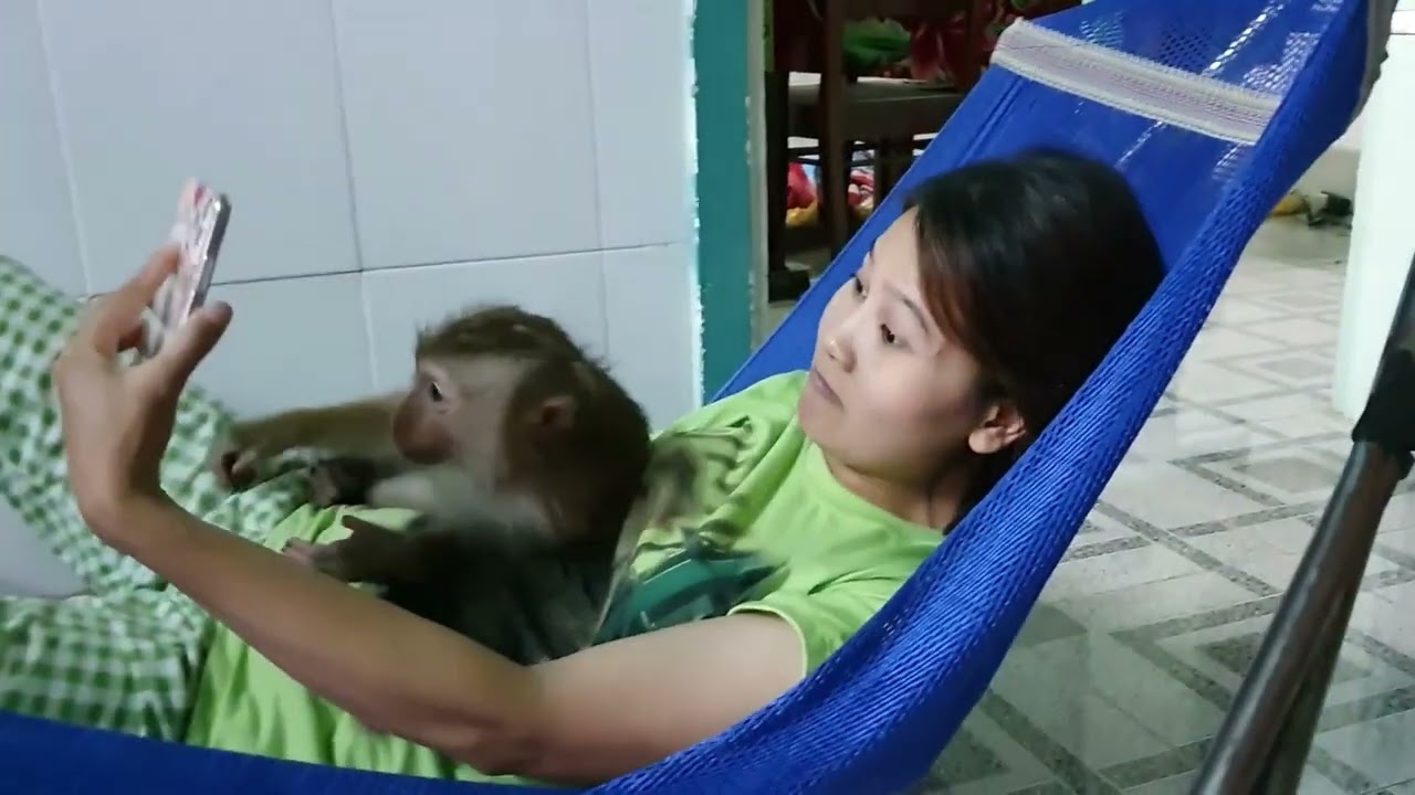 Monkey Baby Nui   Nui like this, do you love Nui flipped