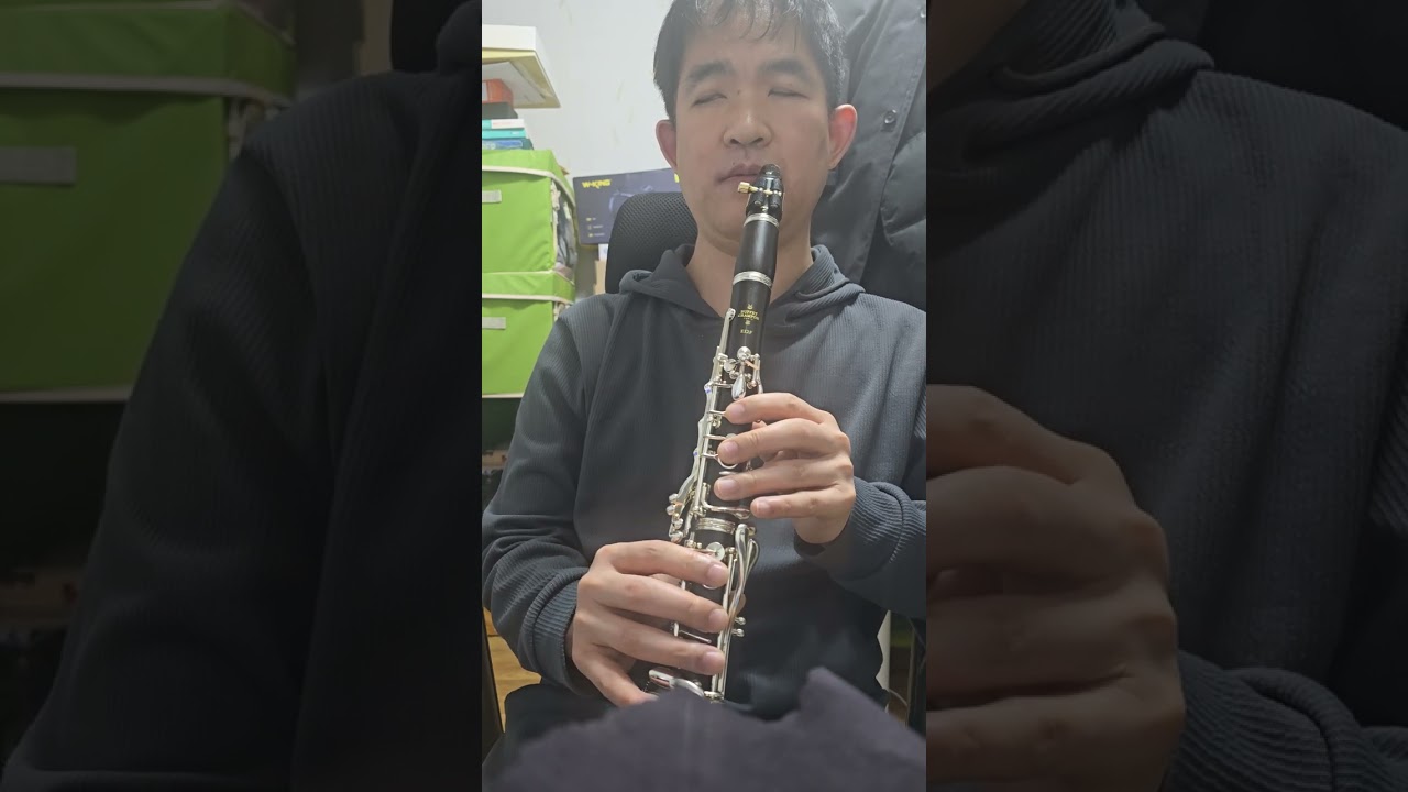 낮에 나온 반달 클라리넷 커버 위민수