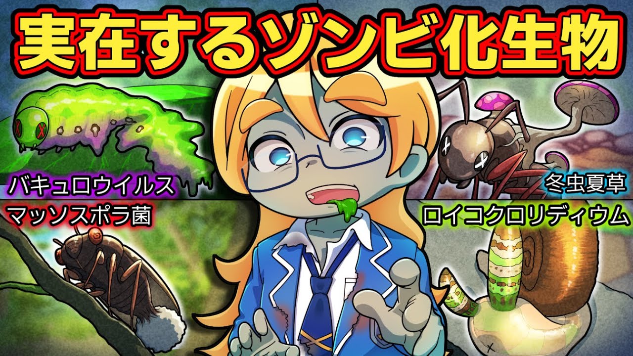 【閲覧注意】感染したら最期...実在するゾンビ化生物4選【アニメ】【マンガ】